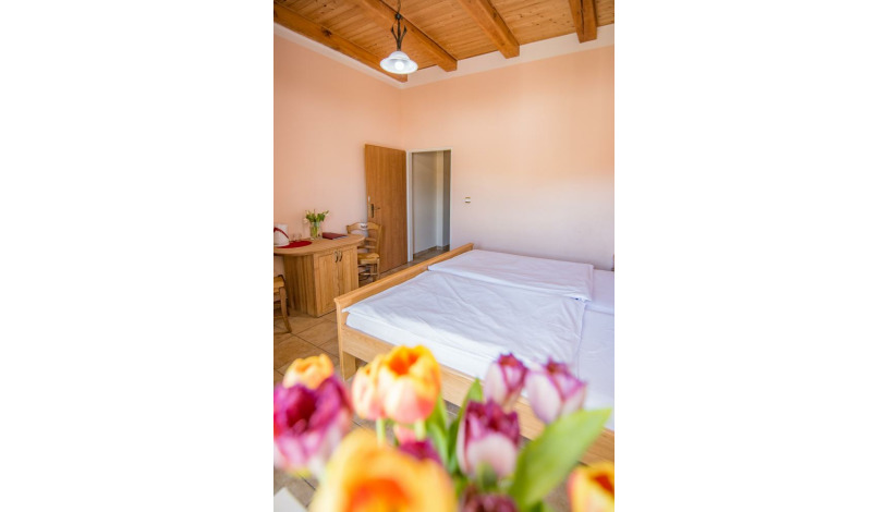 Apartments Victoria Karlovy Vary